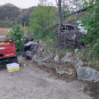 가로수님의 자유주제 · 자유게시판 작성글 사진