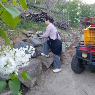 가로수님의 자유주제 · 자유게시판 작성글 사진