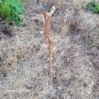 정찬영님의 자유주제 · 자유게시판 작성글 사진