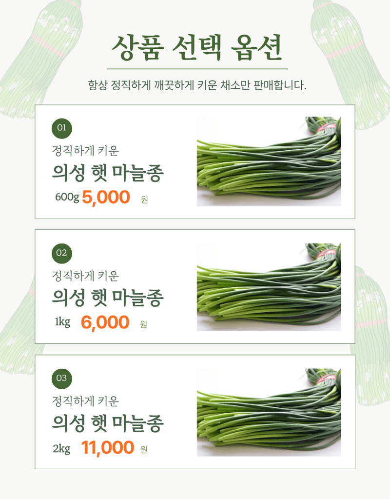 김태혁님의 장터 판매 상품 [(당일발송)국산 의성 햇 마늘쫑] 첨부 사진