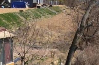 홍천텃밭농부님의 농사, 무엇이든 물어보세요! · 참여글 작성글 사진