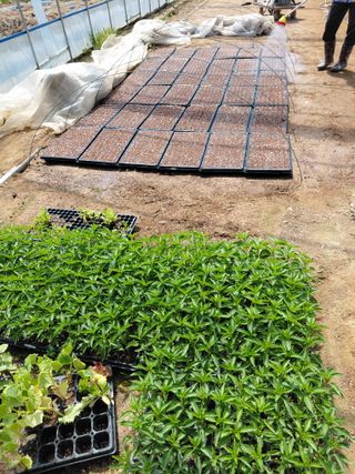 좋은인연원님의 자유주제 · 자유게시판 작성글 사진