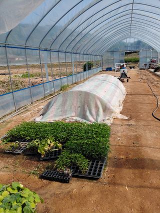 좋은인연원님의 자유주제 · 자유게시판 작성글 사진