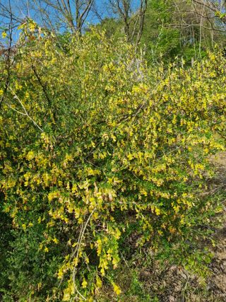 폭포수 아래님의 자유주제 · 사진전 작성글 사진