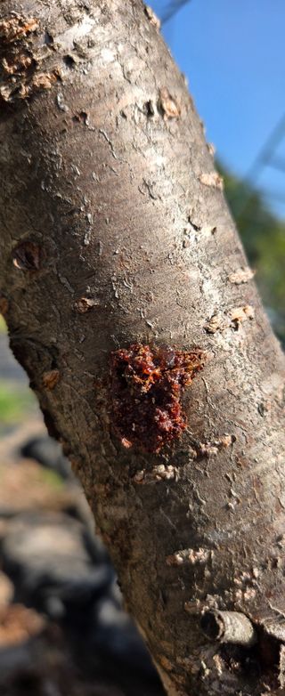 세잎클로바님의 자유주제 · 자유게시판 작성글 사진