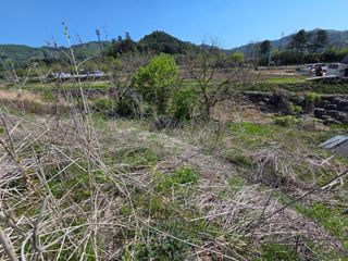 홍천텃밭농부님의 농사, 무엇이든 물어보세요! · 참여글 작성글 사진