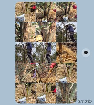 콩19996ㆍ혜자님의 자유주제 · 자유게시판 작성글 사진