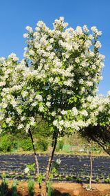 팜모닝 자유주제·자유게시판 게시글 이미지