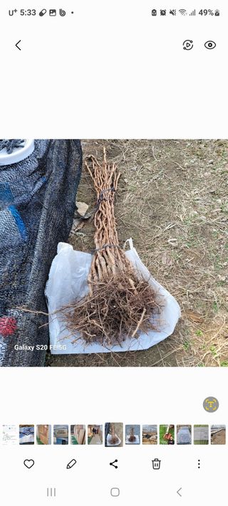 정찬영님의 자유주제 · 자유게시판 작성글 사진