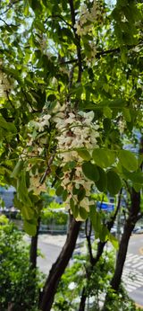 조준제님의 자유주제·자유게시판 작성글 사진