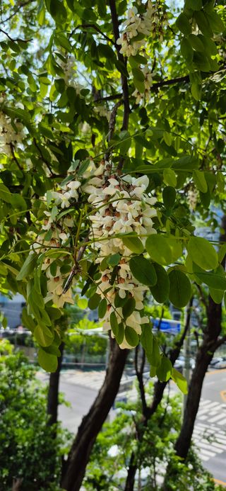 조준제님의 자유주제 · 자유게시판 작성글 사진