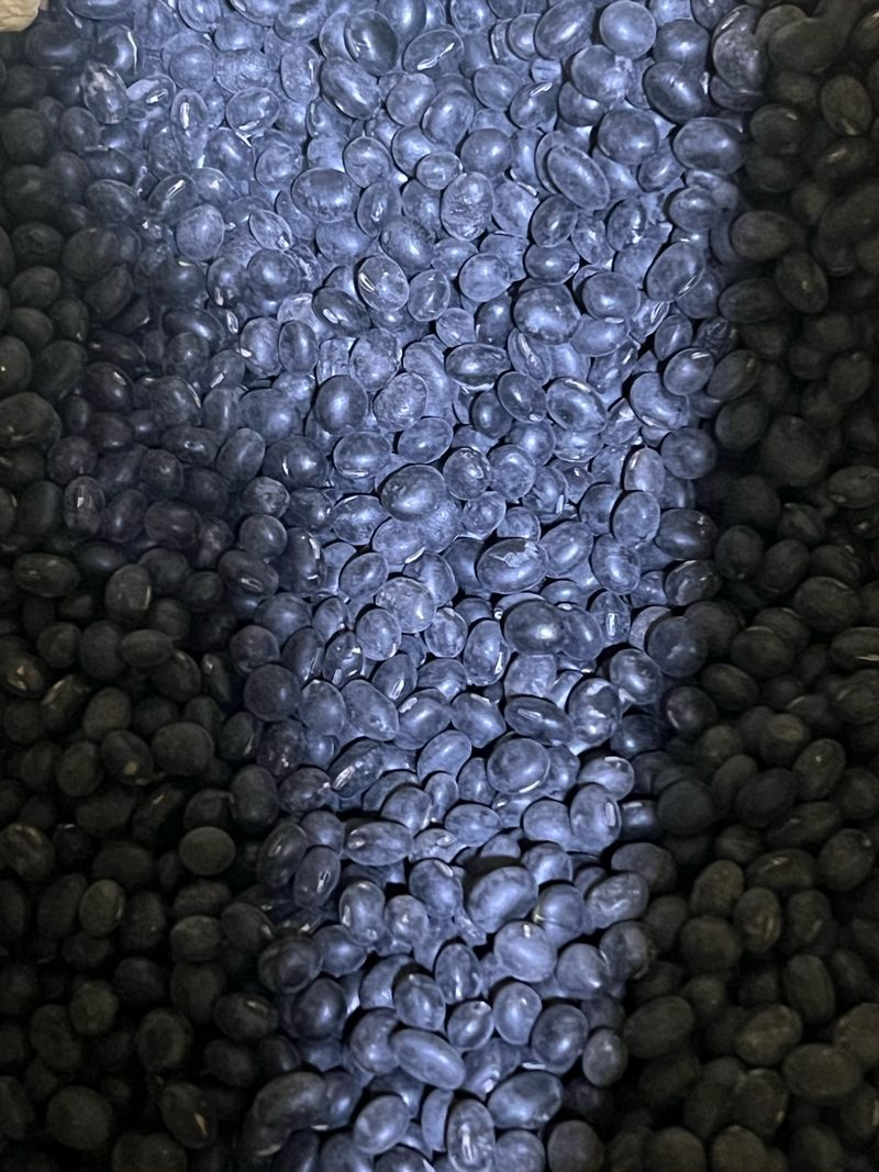 강원도농산물님의 장터 판매 상품 [고소하는 서리태 1kg] 첨부 사진