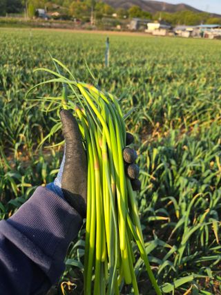 김태혁님의 자유주제 · 자유게시판 작성글 사진