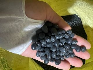 강원도농산물님의 자유주제 · 자유게시판 작성글 사진