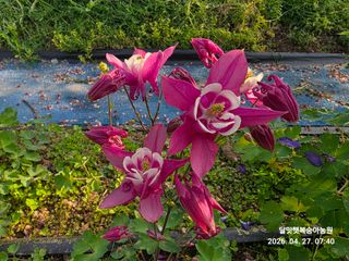 달맛햇복숭아농원님의 자유주제 · 사진전 작성글 사진