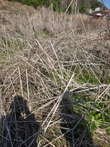 홍천텃밭농부님의 농사, 무엇이든 물어보세요!·참여글 작성글 사진