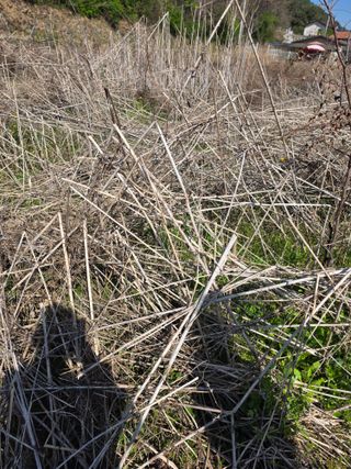 홍천텃밭농부님의 농사, 무엇이든 물어보세요! · 참여글 작성글 사진