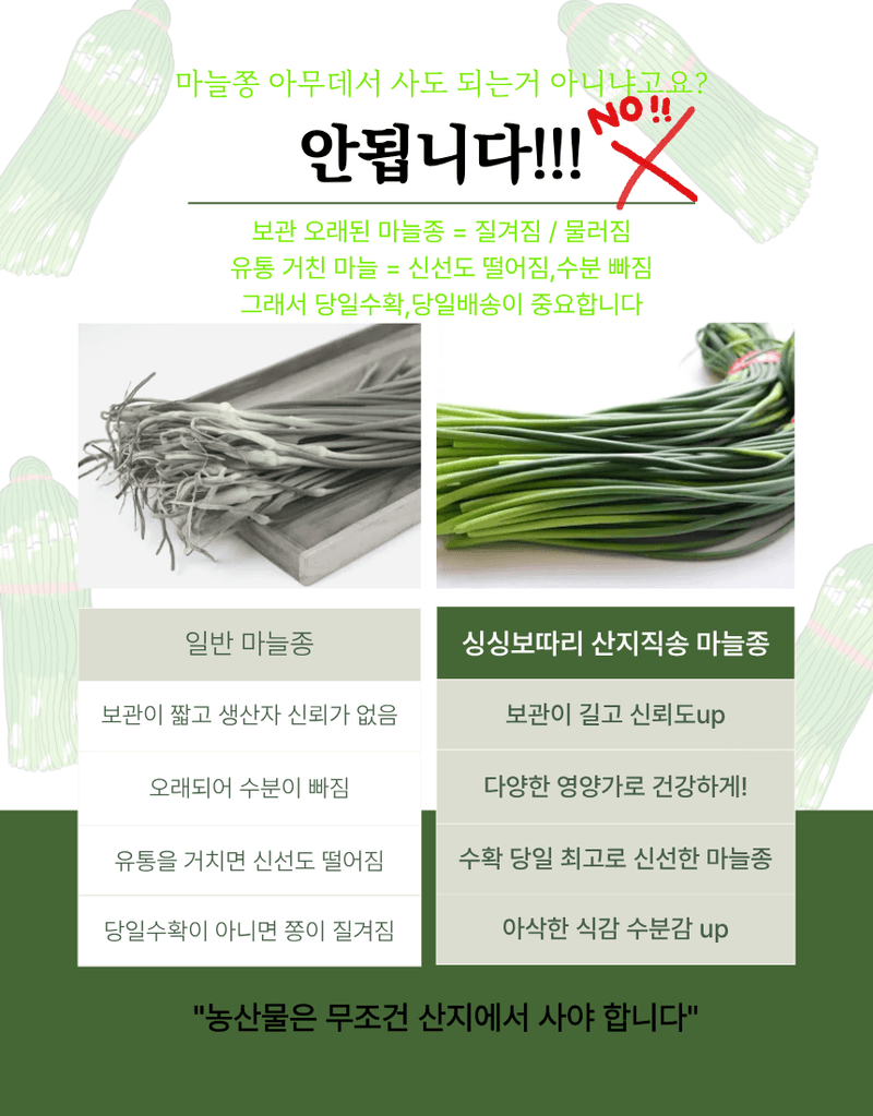 김태혁님의 장터 판매 상품 [(당일발송)국산 의성 햇 마늘쫑] 첨부 사진