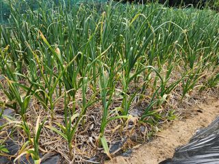 감자21491님의 자유주제 · 자유게시판 작성글 사진