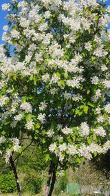 고명옥님의 자유주제·자유게시판 작성글 사진