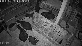 민들레님의 자유주제 · 자유게시판 작성글 사진