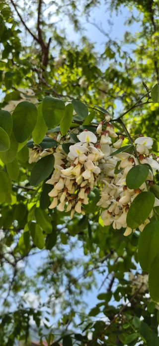조준제님의 자유주제 · 자유게시판 작성글 사진