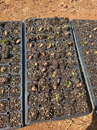 단양아짐님의 자유주제 · 자유게시판 작성글 사진