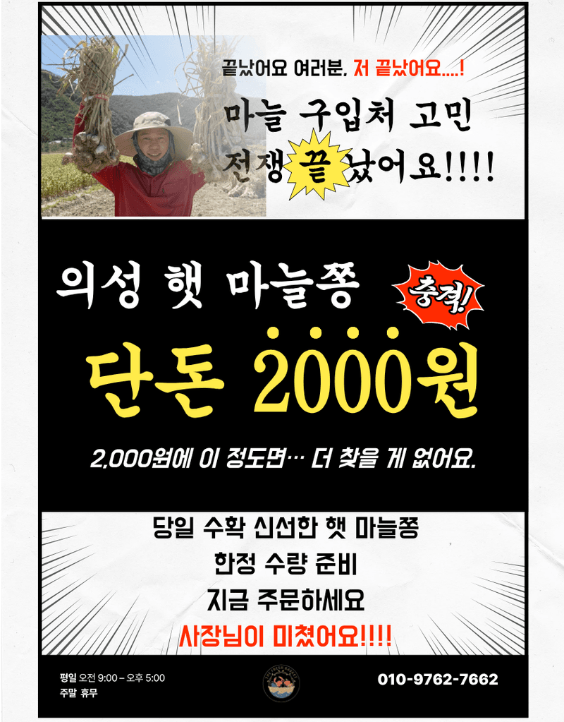 김태혁님의 장터 판매 상품 [(당일발송)국산 의성 햇 마늘쫑] 첨부 사진