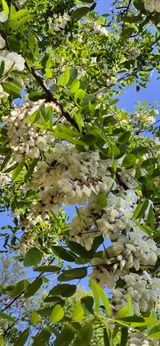 팜모닝 자유주제·자유게시판 게시글 이미지