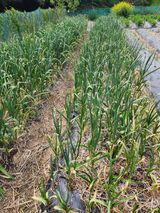 감자21491님의 자유주제·자유게시판 작성글 사진