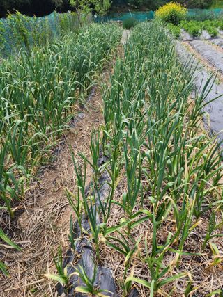 감자21491님의 자유주제 · 자유게시판 작성글 사진