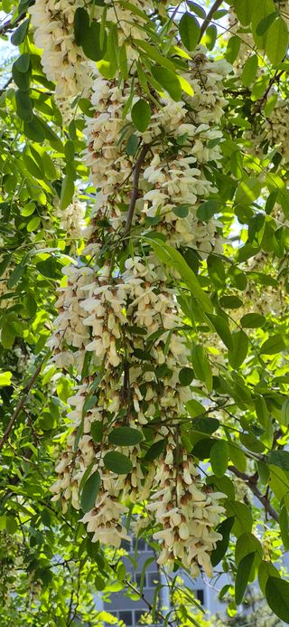 조준제님의 자유주제 · 자유게시판 작성글 사진