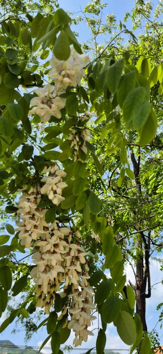 조준제님의 자유주제 · 자유게시판 작성글 사진