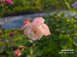 달맛햇복숭아농원님의 자유주제 · 사진전 작성글 사진