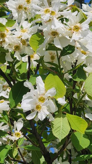 고명옥님의 자유주제 · 자유게시판 작성글 사진