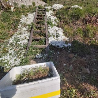 가로수님의 자유주제 · 자유게시판 작성글 사진