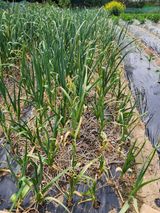 감자21491님의 자유주제·자유게시판 작성글 사진