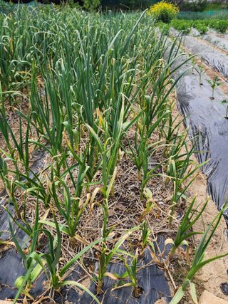 감자21491님의 자유주제 · 자유게시판 작성글 사진