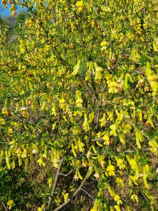 폭포수 아래님의 자유주제 · 사진전 작성글 사진