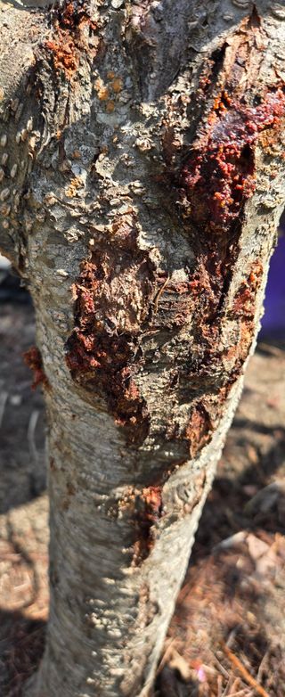 세잎클로바님의 자유주제 · 자유게시판 작성글 사진