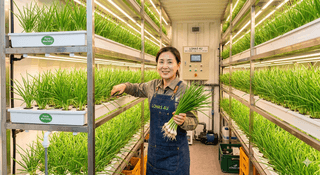 채종원님의 자유주제·자유게시판 작성글 사진