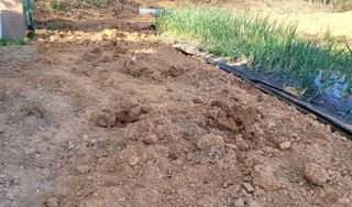 김민환님의 자유주제 · 자유게시판 작성글 사진