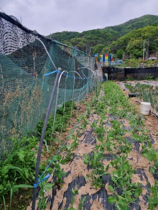 김경일 님의 자유주제 · 자유게시판 작성글 사진