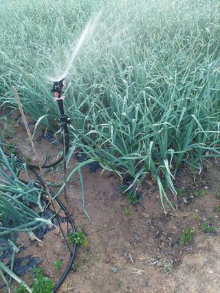 재연농장님의 자유주제 · 자유게시판 작성글 사진