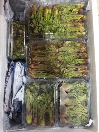 이유영님의 자유주제 · 자유게시판 작성글 사진