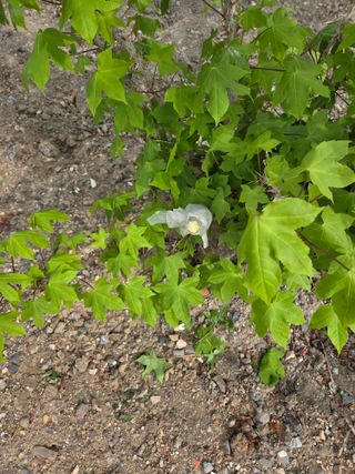 김용대님의 자유주제 · 자유게시판 작성글 사진