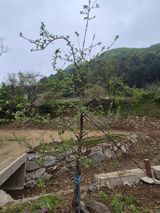 팜모닝 자유주제·자유게시판 게시글 이미지