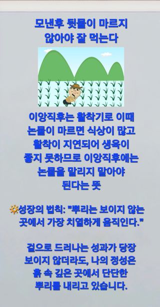 Kns4324님의 자유주제 · 자유게시판 작성글 사진