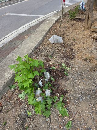 김용대님의 자유주제 · 자유게시판 작성글 사진