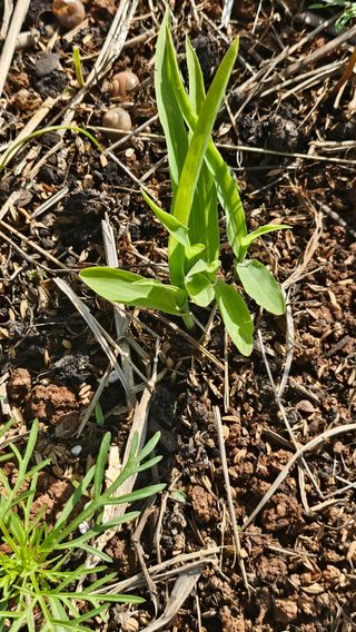 유기농으로키우자님의 자유주제·자유게시판 작성글 사진